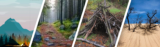 More Survivalism content