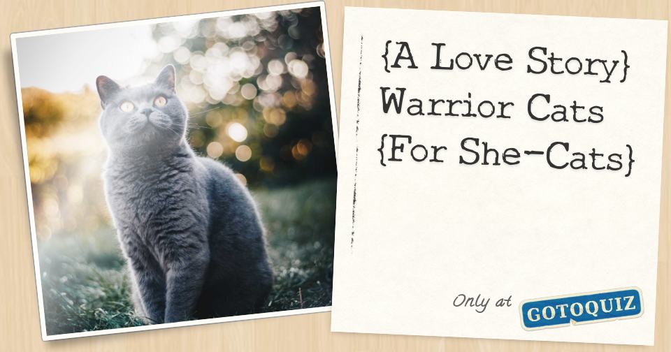 Warrior Cats Love Story Part 6 Pathbreeze