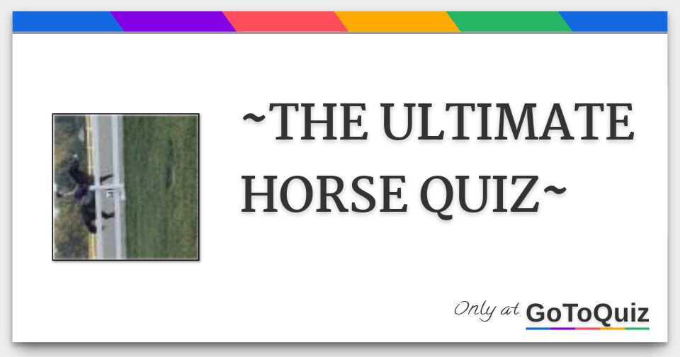 The Ultimate Horse Quiz vrogue.co