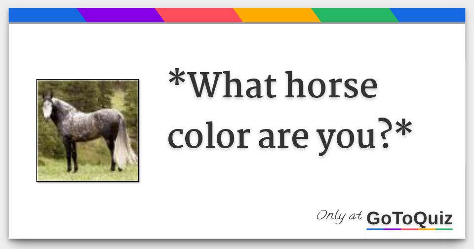 *What horse color are you?*