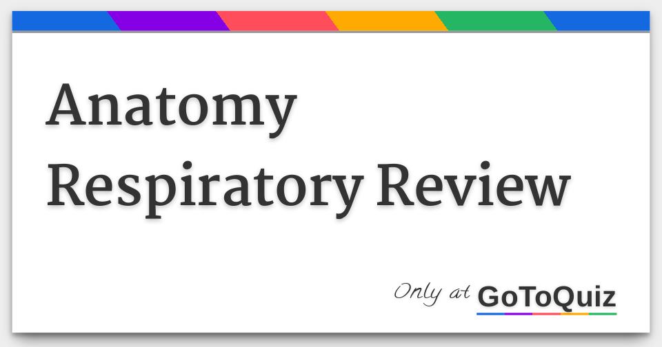Anatomy Respiratory Review