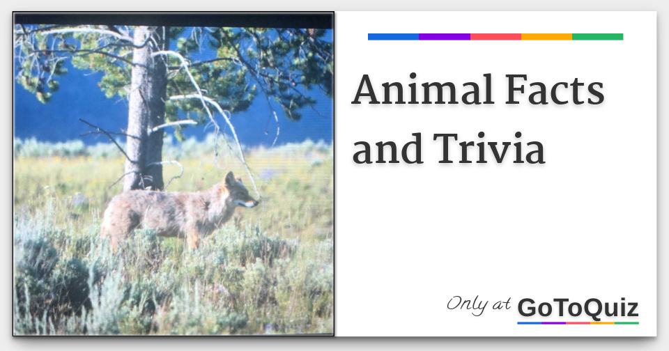 Animal Facts and Trivia