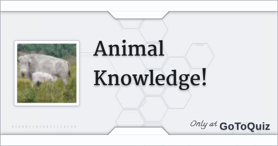 Animal Knowledge!