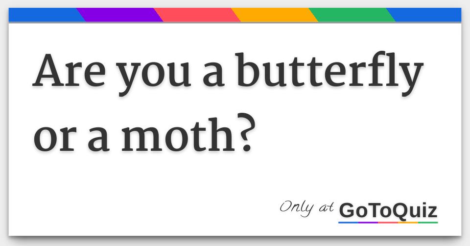 Are you a butterfly or a moth?