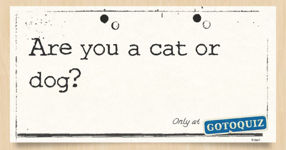 Are you a cat or dog?