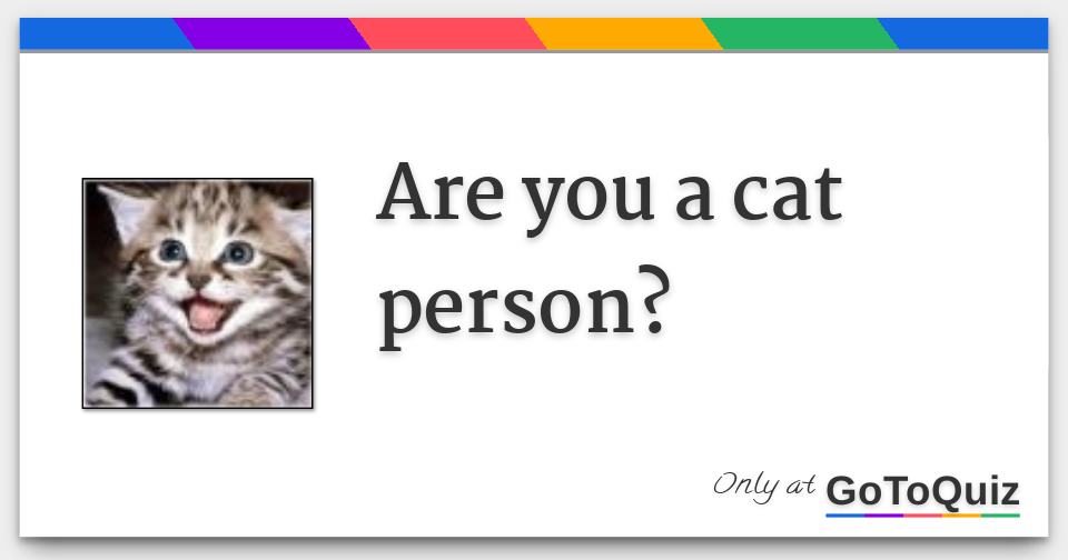 Are you a cat person?
