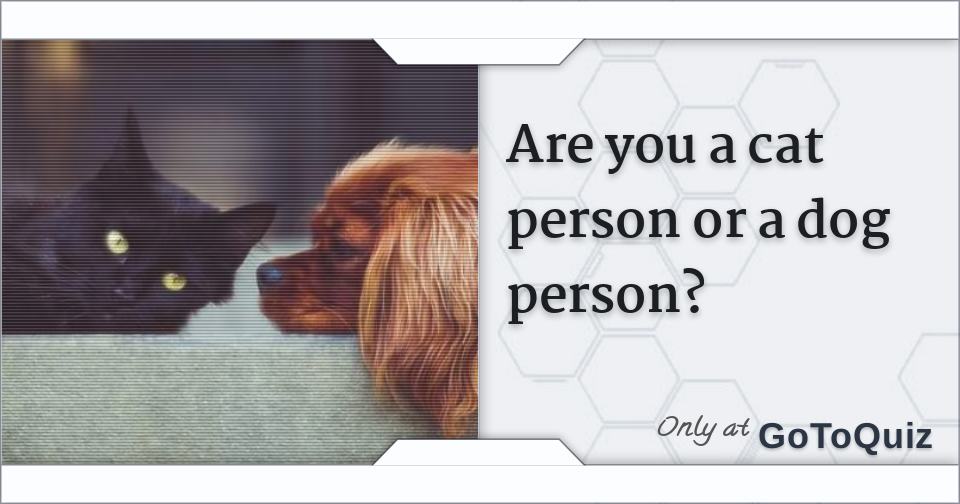 Are you a cat person or a dog person?