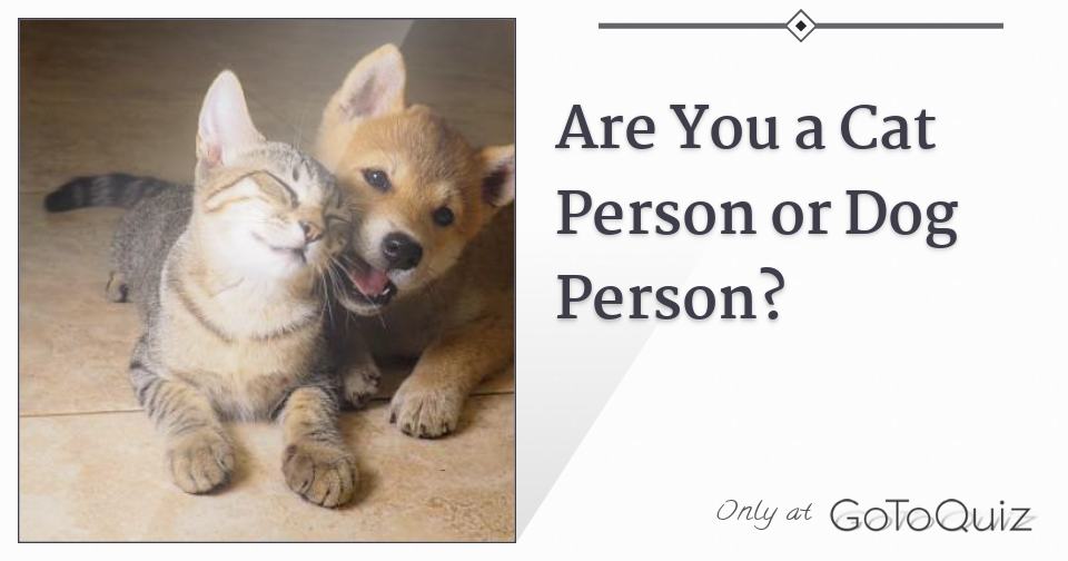 Are You A Cat Person Or Dog Person 