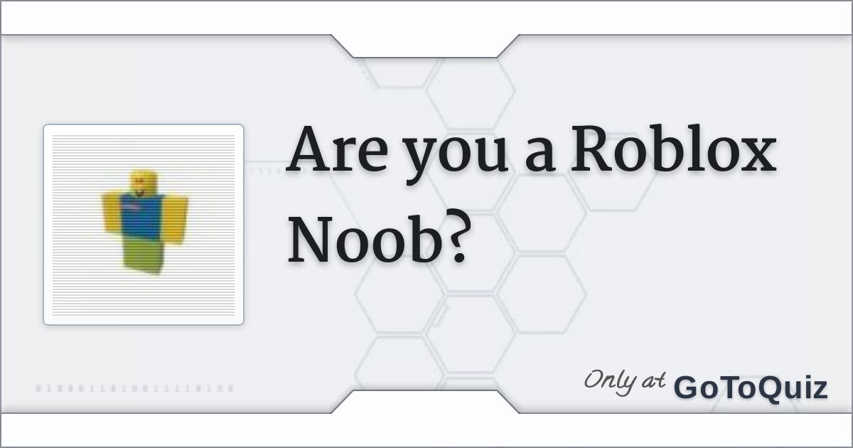 Roblox You Noob