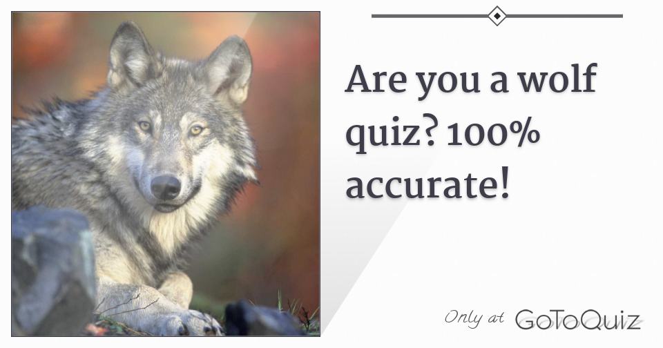 Are you a wolf quiz? 100% accurate! Are you a wolf quiz? 100% accurate!