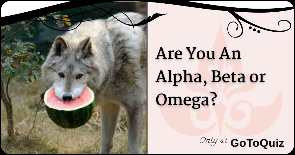 Is My Dog Alpha Beta Or Omega