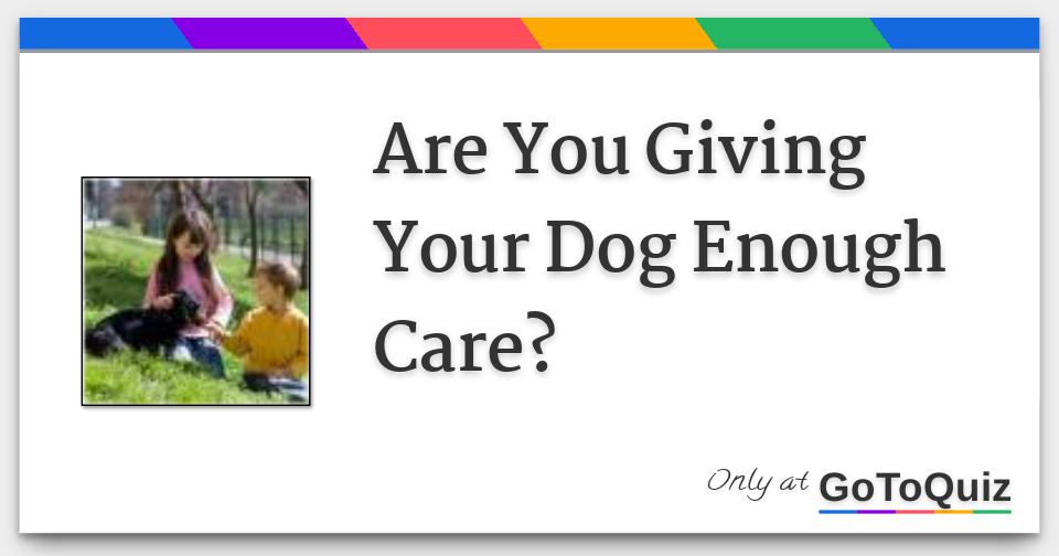 Are You Giving Your Dog Enough Care?
