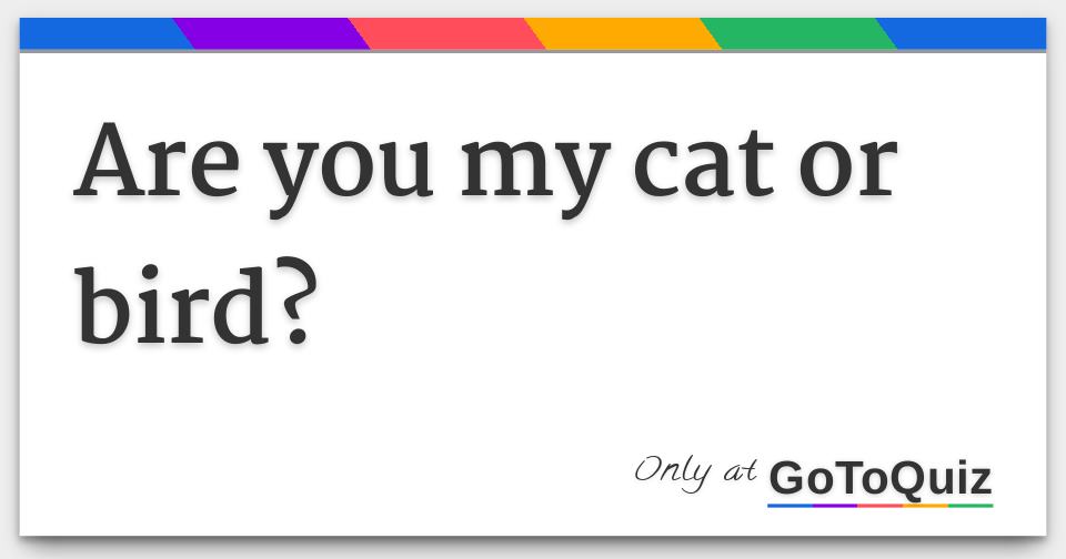 are-you-my-cat-or-bird