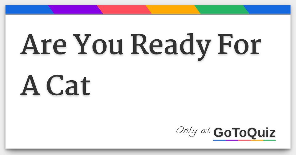 Are You Ready For A Cat