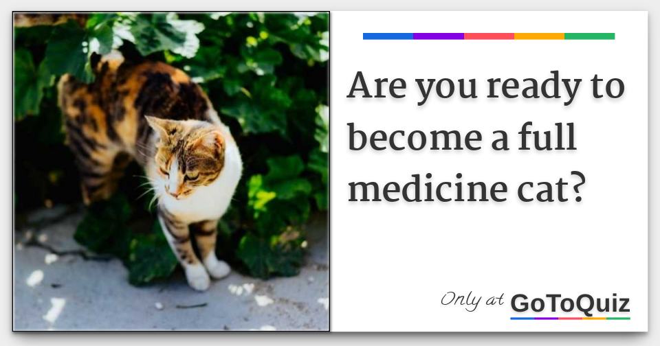 Are you ready to a full medicine cat?