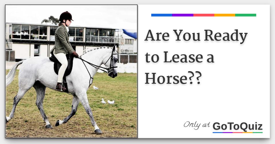 are-you-ready-to-lease-a-horse