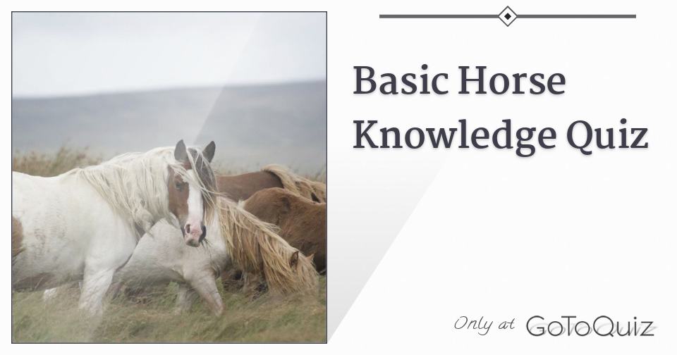 Basic Horse Knowledge Quiz