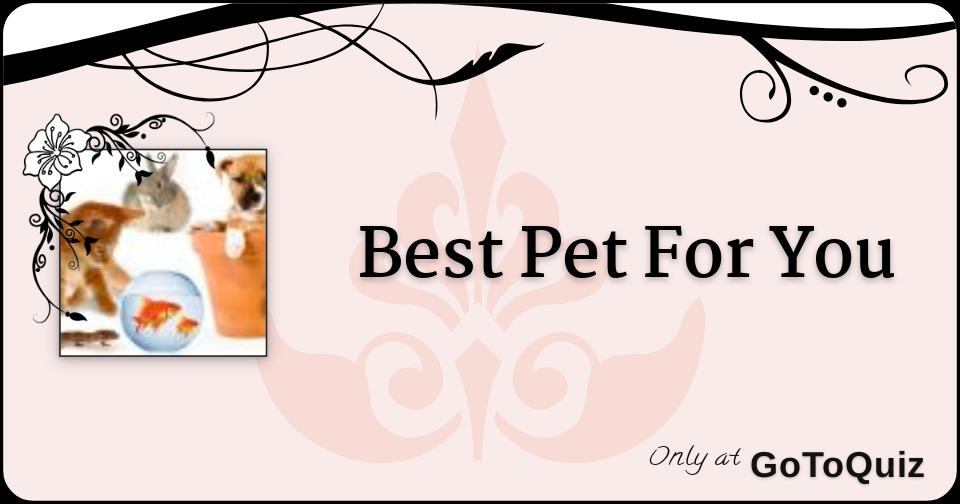 Best Pet For You