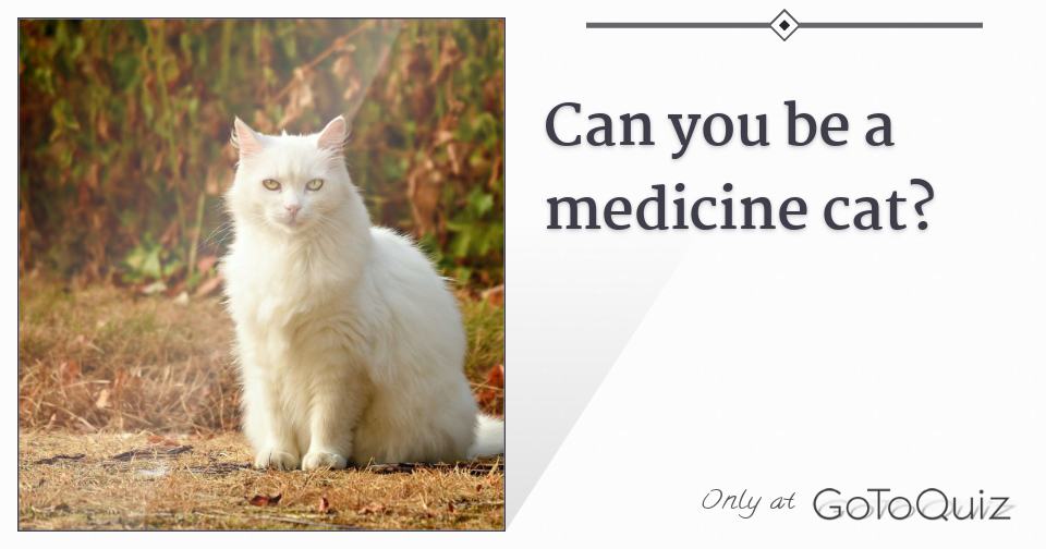 Can you be a medicine cat?