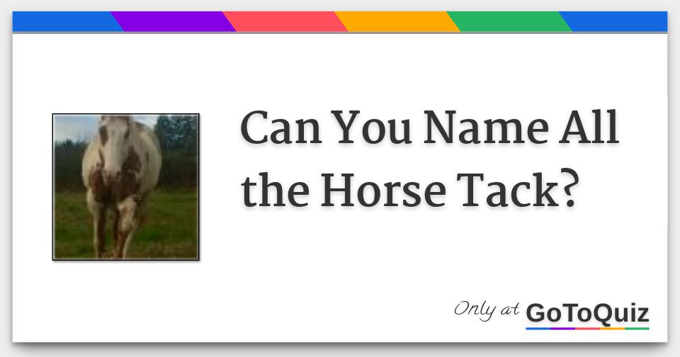 Can You Name All the Horse Tack?