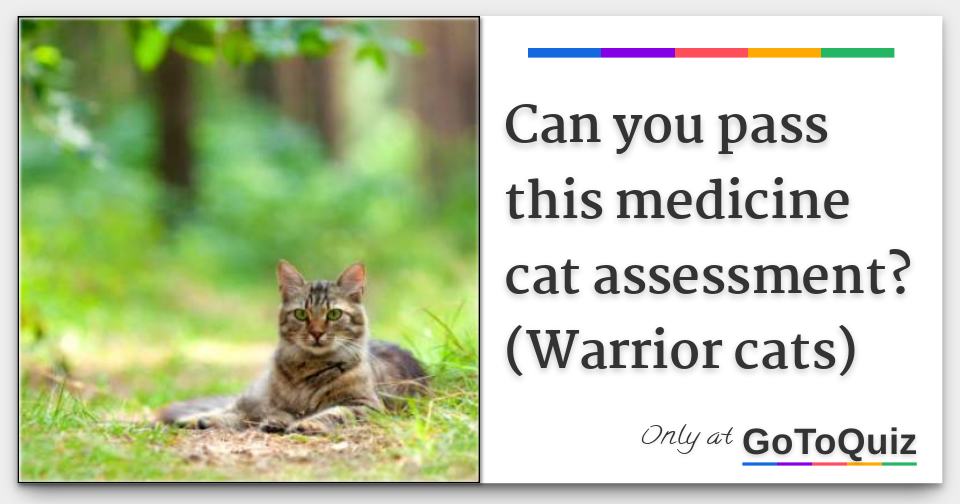 Can You Pass This Medicane Cat Assessment Warrior Cats 