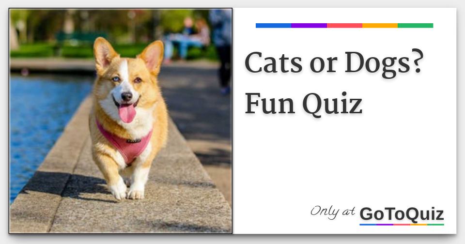 Cats or Dogs? Fun Quiz