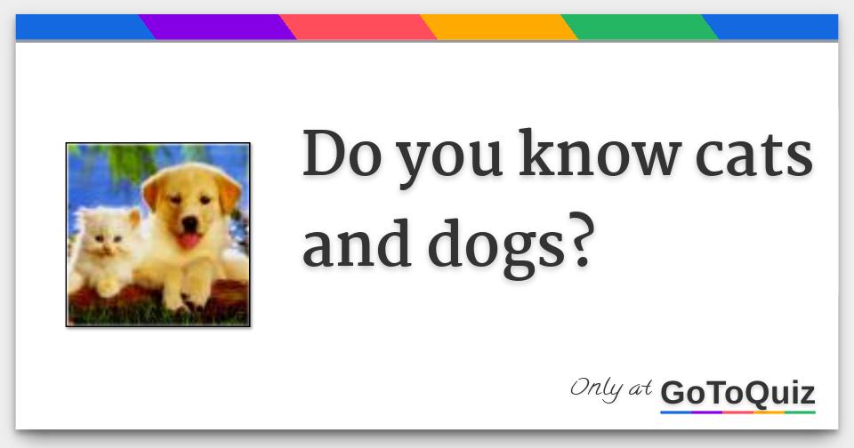 Do you know cats and dogs?