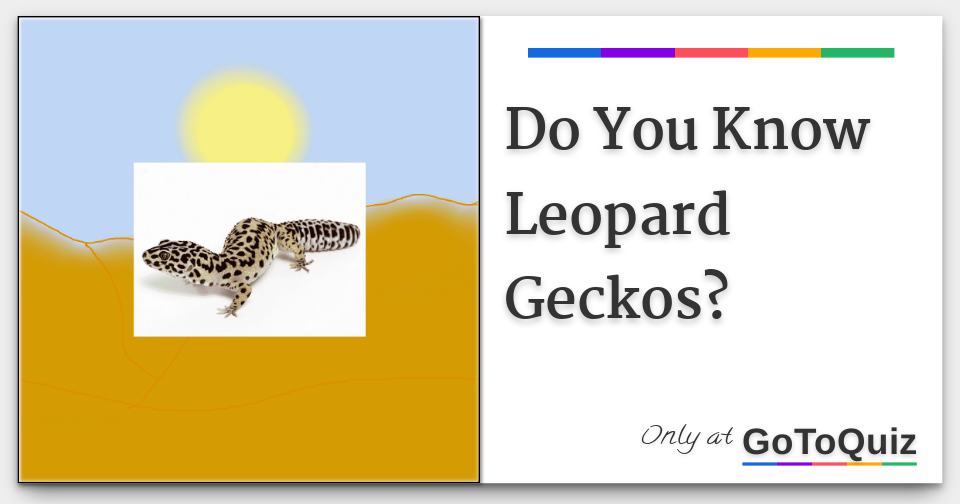 Do You Know Leopard Geckos 