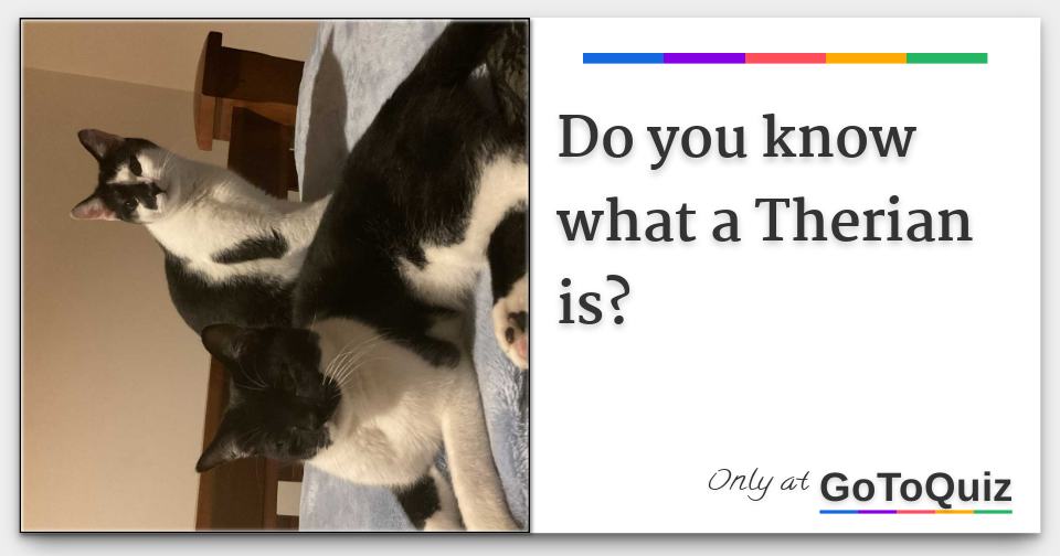 Do you know what a Therian is?