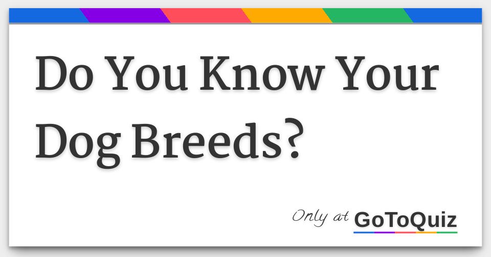 Do You Know Your Dog Breeds?