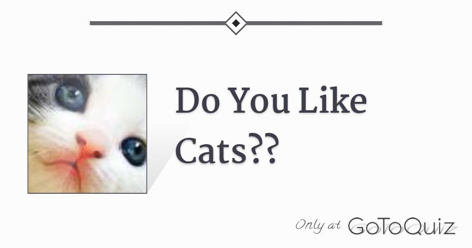 Do You Like Cats??