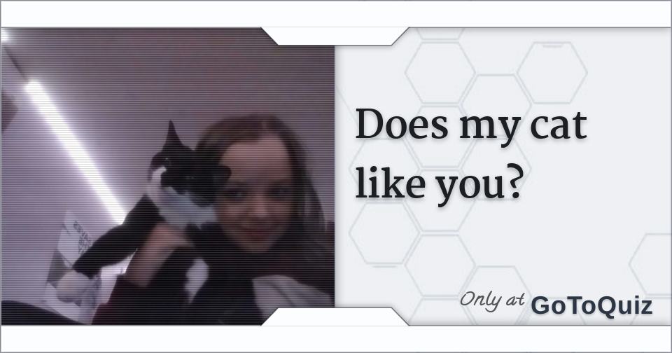 Does my cat like you?