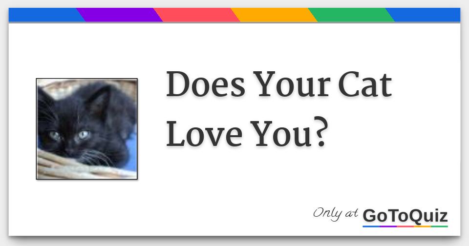 Does Your Cat Love You?