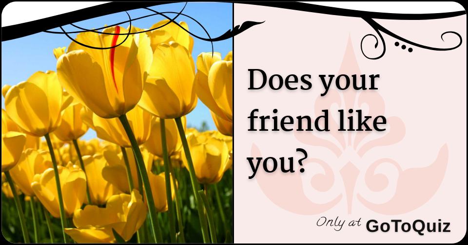 Does your friend like you?