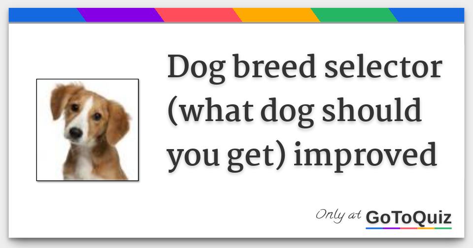 Dog breed selector (what dog should you get) improved