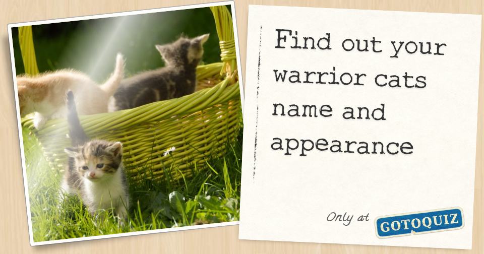 Find out your warrior cats name and appearance