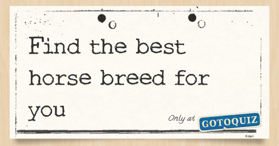Find the best horse breed for you
