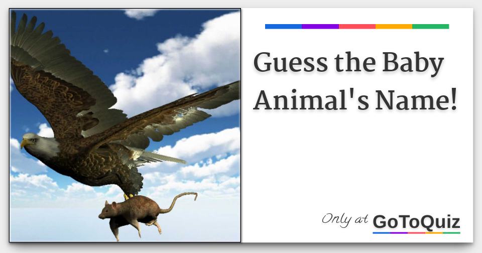 Guess the Baby Animal's Name!