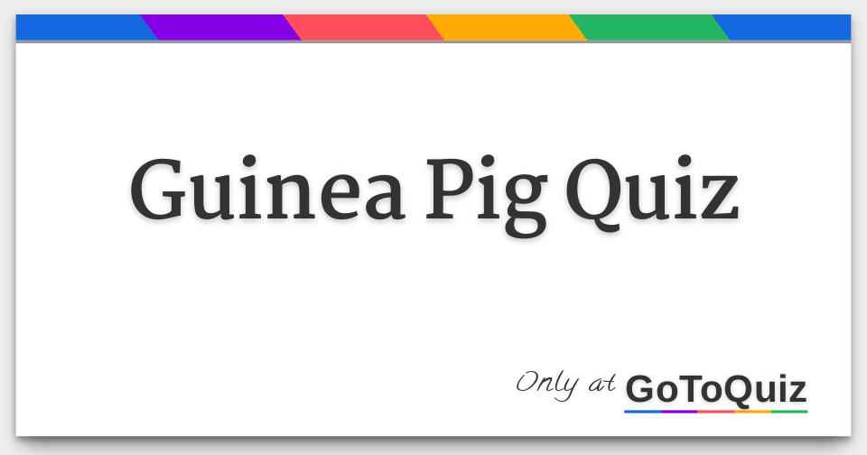 Guinea Pig Quiz