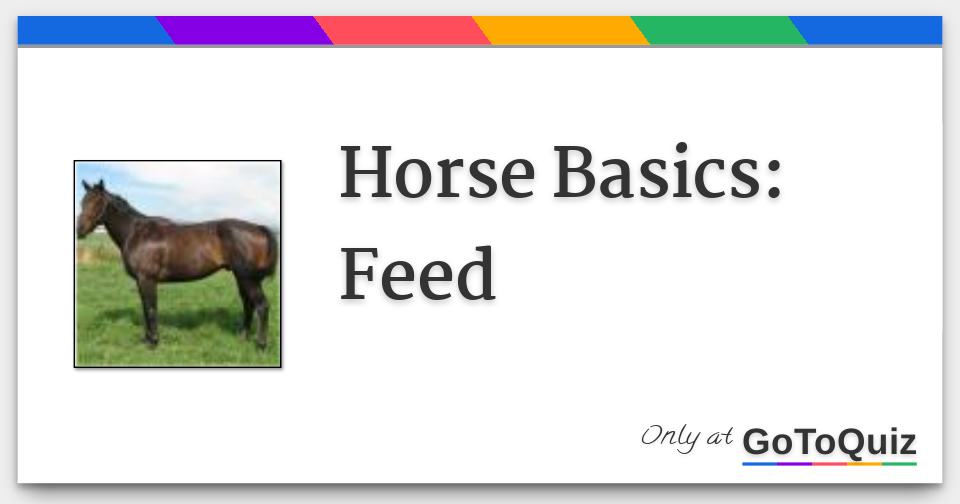 Horse Basics Feed