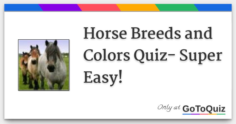 Horse Breeds and Colors Quiz Super Easy!