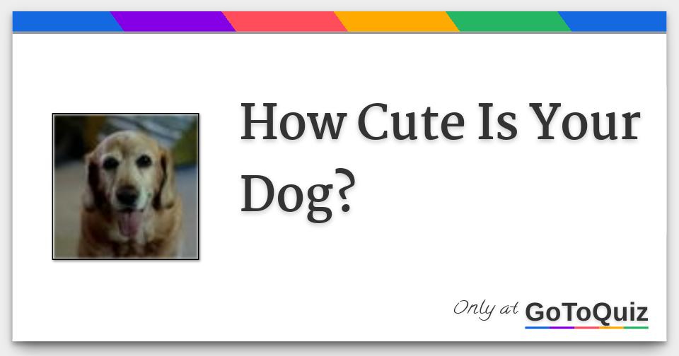 How Cute Is Your Dog?