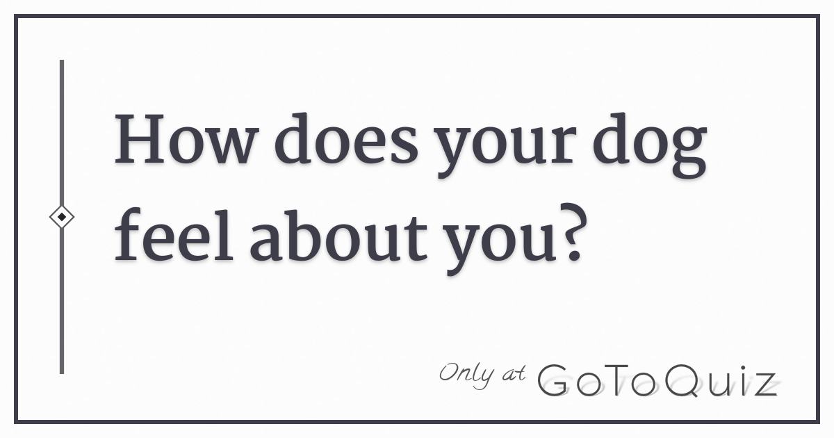 How does your dog feel about you?