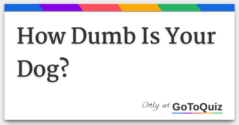 How Dumb Is Your Dog?
