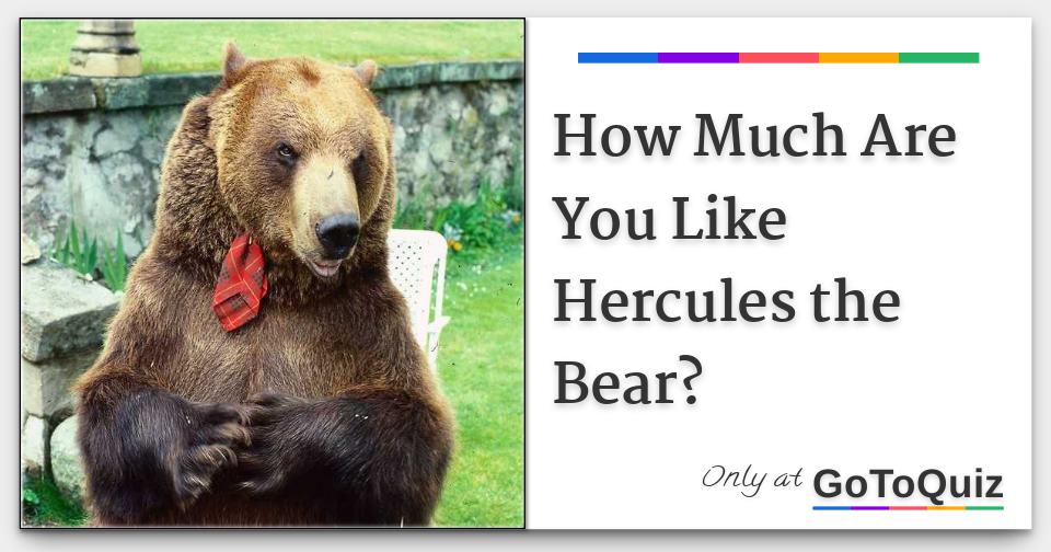 How Much Are You Like Hercules the Bear?