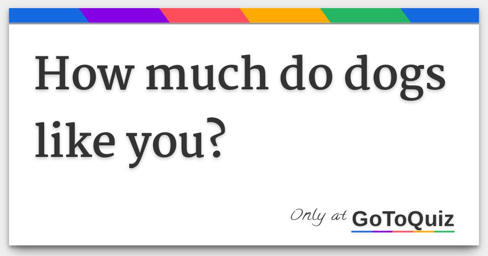 how much do dogs like you?