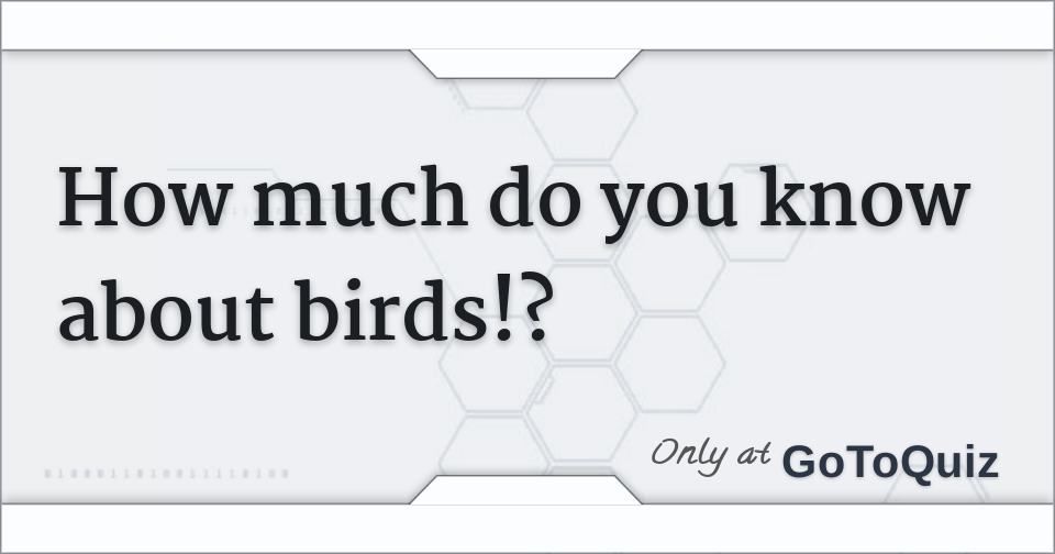 How much do you know about birds!?