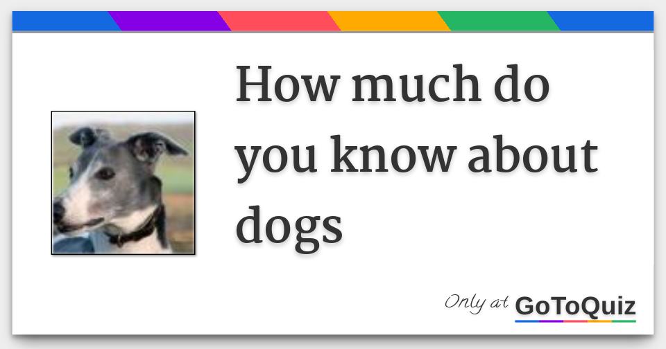 How much do you know about dogs