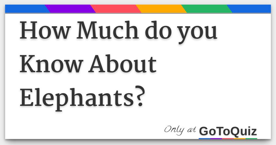 How Much do you Know About Elephants?