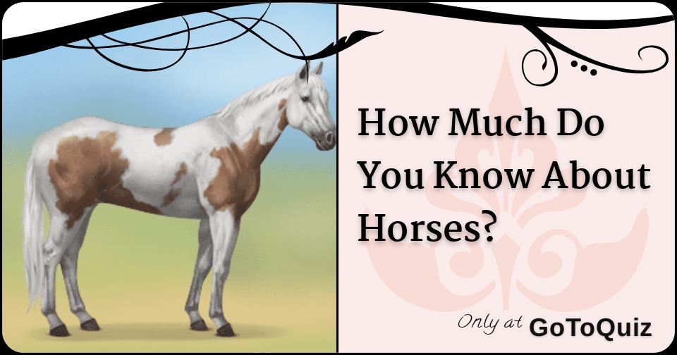 How Much Do You Know About Horses?